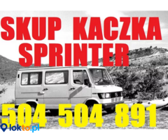 Skup Aut 504504891 Mercedes Sprinter, Kaczka,Vito,124 inne
